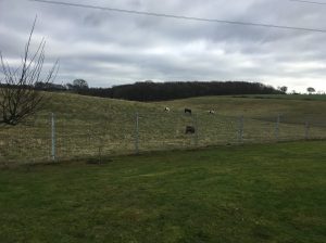Euroguard fencing used for rural security